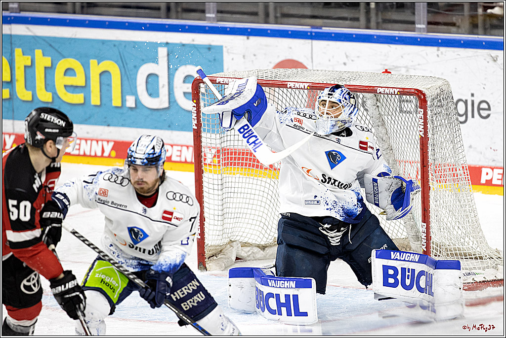 PENNY DEL;  Koelner Haie - ERC Ingolstadt; Koeln, 03.04.2022